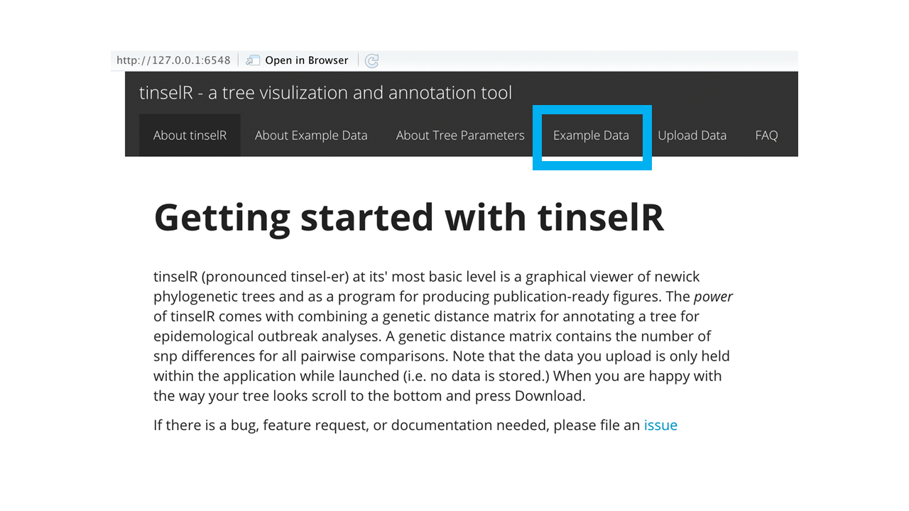 Landing page for tinselR with 'Example Data' tab highlighted in blue.