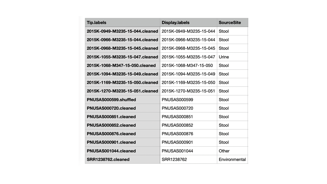 Example metadata 1 with the third column included with information used for adding a heatmap. 